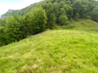 Sale, land lot, 1350m², Moračko Trebaljevo, Kolašin - image 4