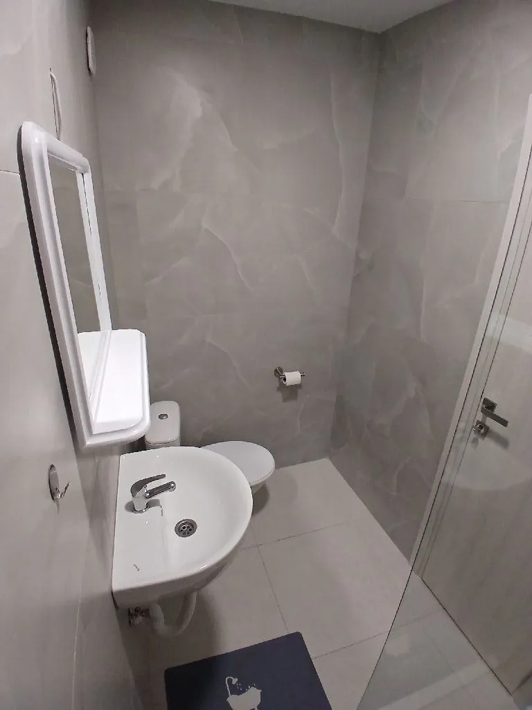 Smaller bathroom with a sink, toilet, and mirror with a shelf.