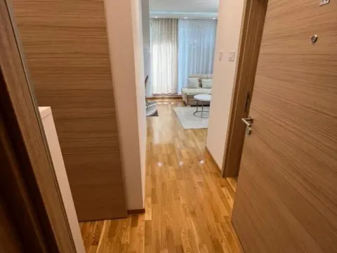 Izdavanje, dvosoban stan, 45m², Jugovićevo, Novi Sad Sve Podlokacije - image 11
