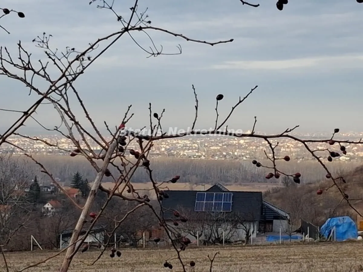 Prodaja, plac, 14994m², Ledinci, Petrovaradin