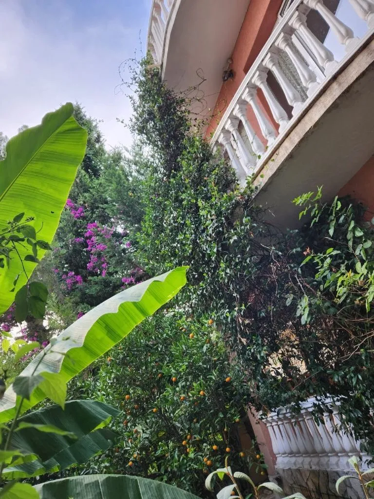 Sale, house, 198m², Šušanj, Bar