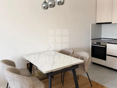 Izdavanje, jednosoban stan, 49m², Central Point, Podgorica - image 4