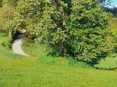 Prodaja, plac, 30905m², Mojkovac, Crna Gora - image 5