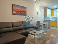 Izdavanje, jednosoban stan, 44m², Novi Sad Sve Podlokacije, Novi Sad - image 1