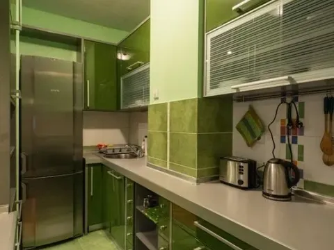 Rent, two bedroom apartment, 51m², Arena, Novi Beograd Sve Podlokacije - image 7