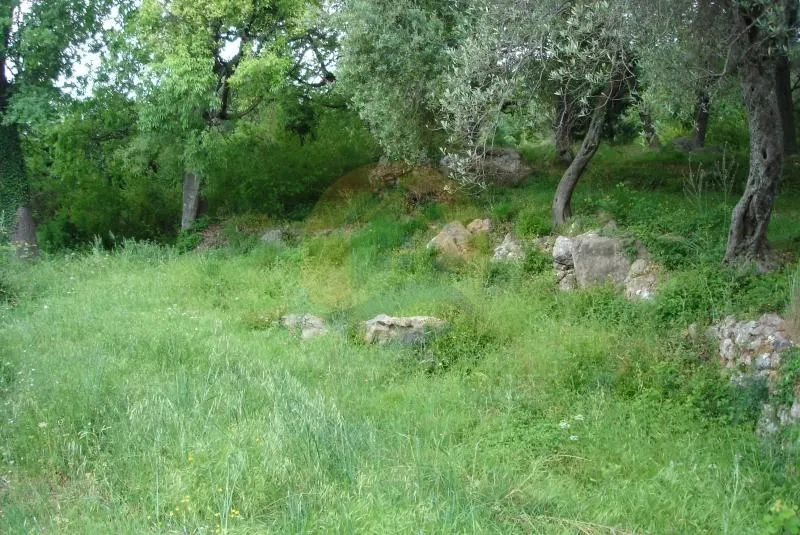Prodaja, plac, 1500m², Kavač, Kotor