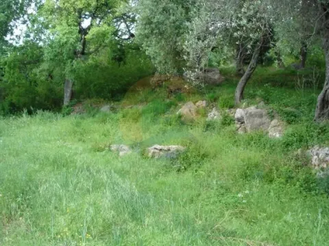 Prodaja, plac, 1500m², Kavač, Kotor - image 4