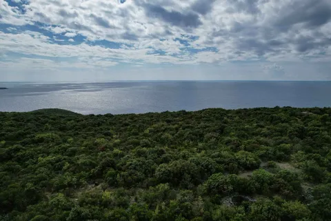 Pogled na more i okolno zelenilo iz zraka. - image 8