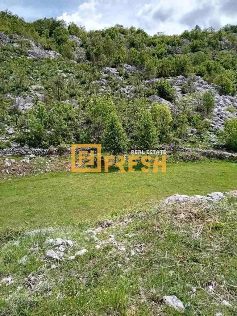 Prodaja, plac, 49212m², Cetinje, Crna Gora