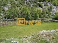 Prodaja, plac, 49212m², Cetinje, Crna Gora - image 4
