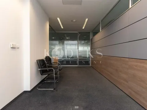 Izdavanje, poslovni prostor, 318m², Preko Morače, Podgorica - image 12