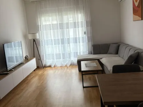 Rent, one bedroom apartment, 46m², Stara Varoš, Podgorica - image 2