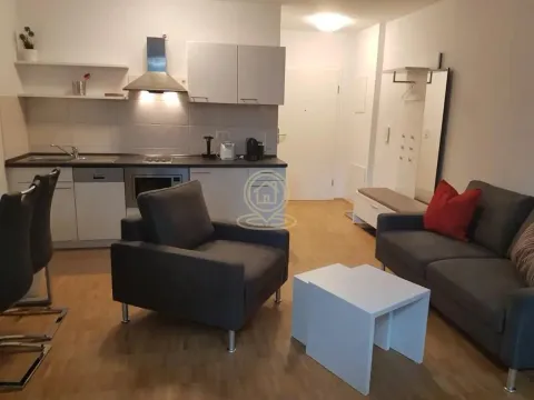 Rent, one bedroom apartment, 30m², Nova Detelinara, Novi Sad Sve Podlokacije - image 4