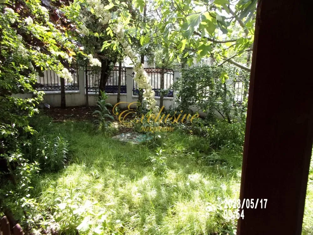 Pogled na zeleno dvorište sa travnjakom i drvećem.