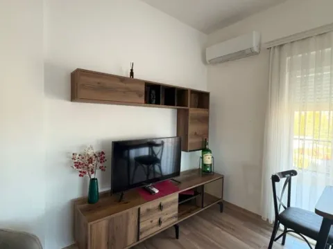 Izdavanje, jednosoban stan, 56m², Stari Aerodrom, Podgorica - image 2