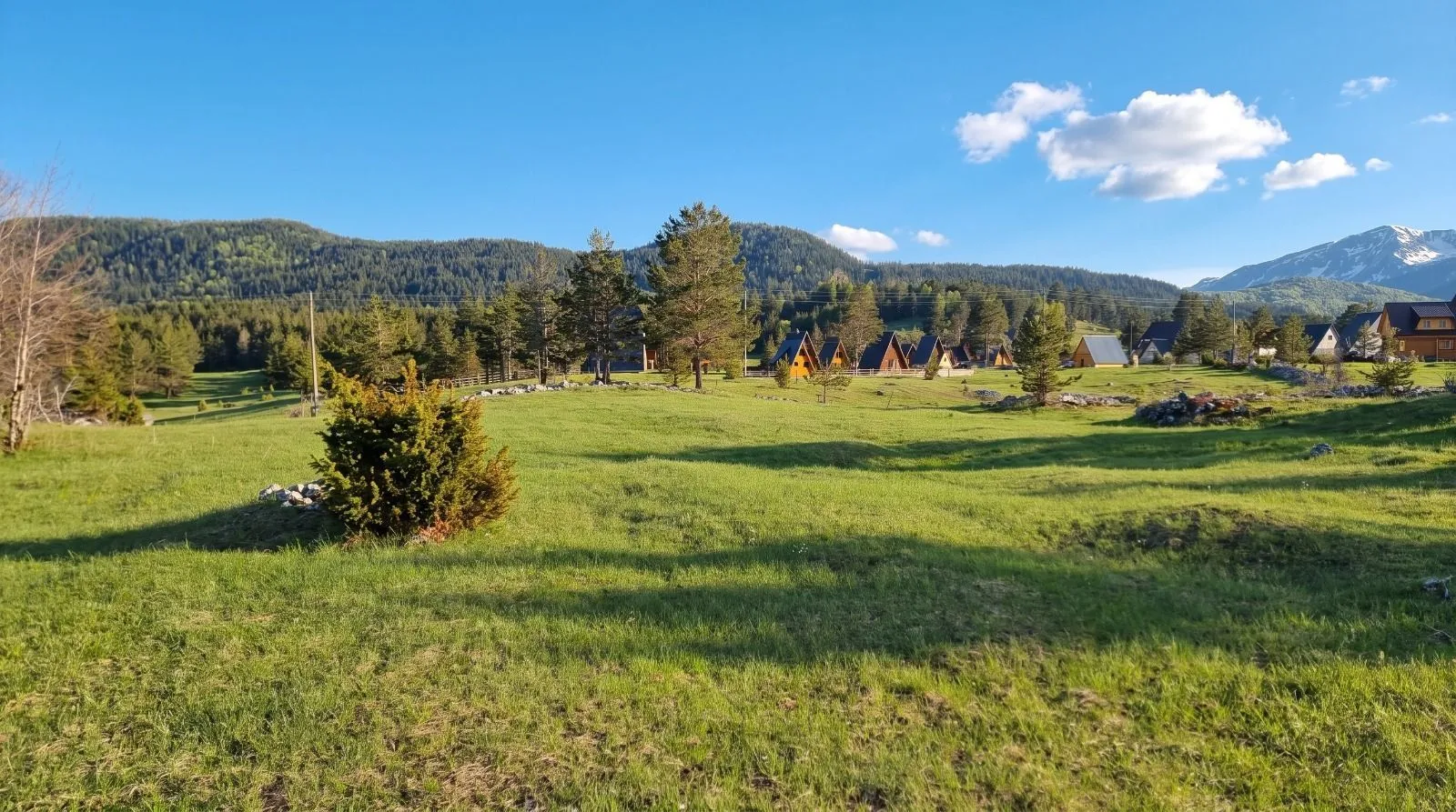 Prodaja, plac, 5000m², Žabljak, Crna Gora