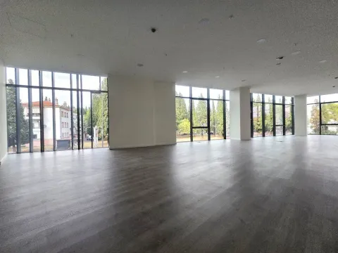 Izdavanje, poslovni prostor, 2542m², Centar, Podgorica - image 12