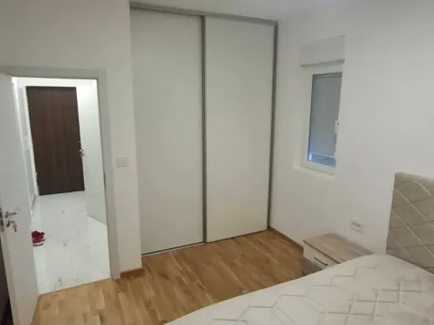 Rent, one bedroom apartment, 48m², Zabjelo, Podgorica - image 8