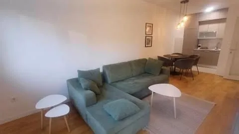 Rent, one bedroom apartment, 47m², Central Point, Podgorica - image 6
