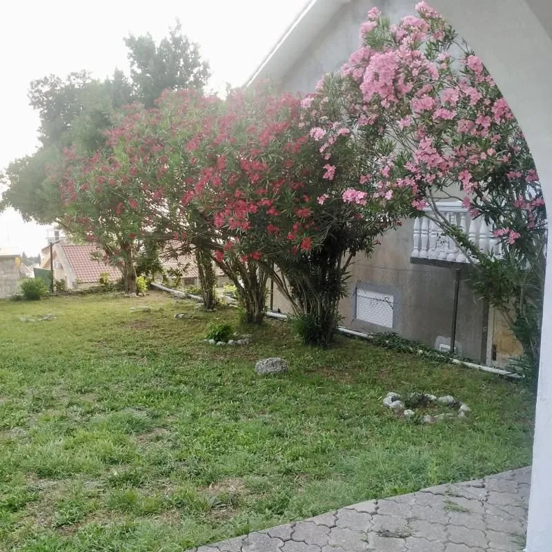 Prodaja, kuća, 480m², Petrovac, Budva