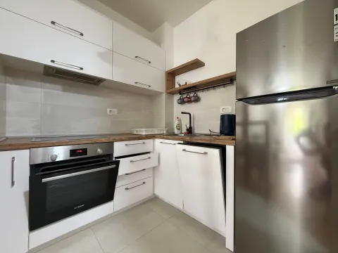 Rent, one bedroom apartment, 41m², Central Point, Podgorica - image 4
