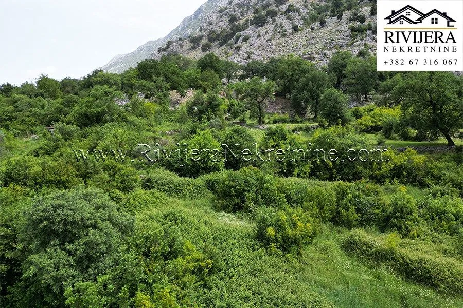 Prodaja, plac, 3226m², Dobrota, Kotor