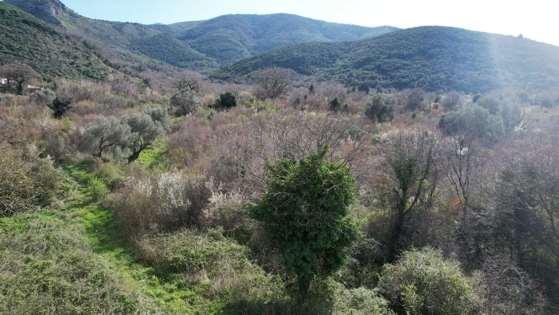 Sale, land lot, 40000m², Buljarica, Budva