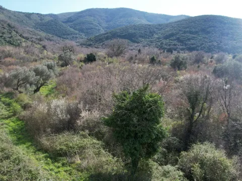 Prodaja, plac, 40000m², Buljarica, Budva - image 11