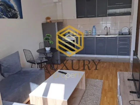 Izdavanje, jednosoban stan, 34m², Zabjelo, Podgorica - image 4