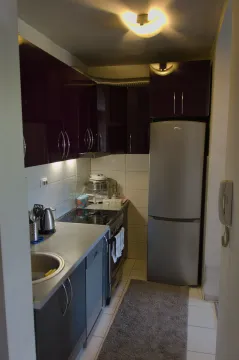 Small equipped kitchen with dark cabinets and a refrigerator. - image 6