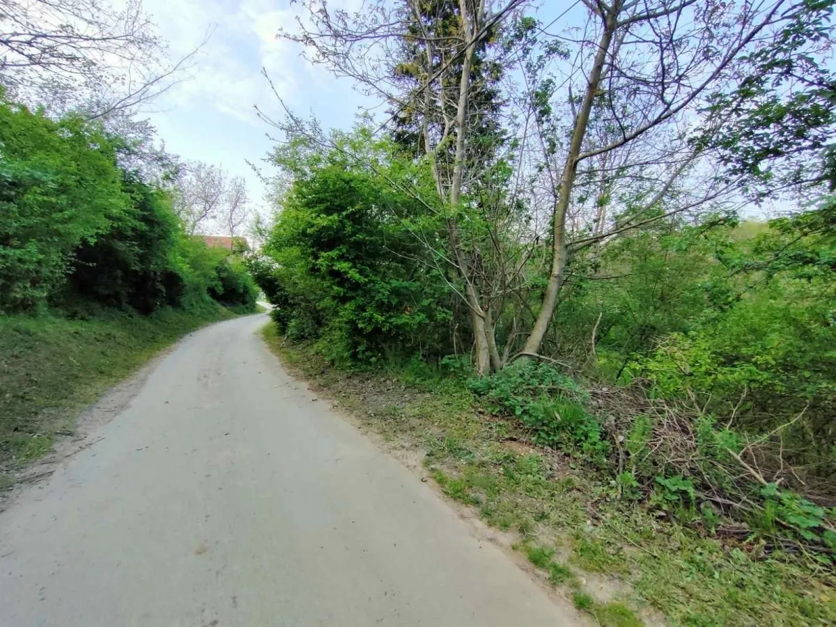 Prodaja, kuća, 37m², Čerević, Beočin