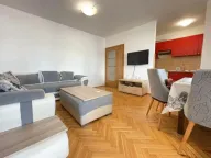 Izdavanje, jednosoban stan, 70m², Blok 9, Podgorica - image 3