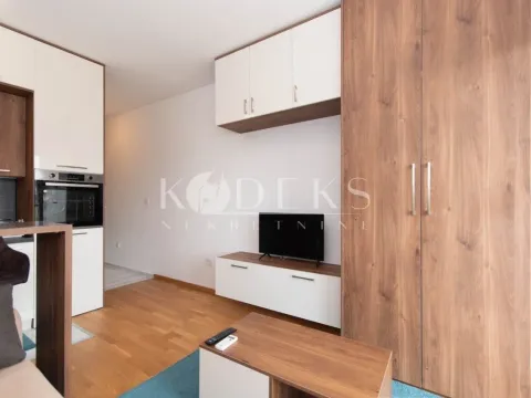 Izdavanje, garsonjera, 27m², Stari Aerodrom, Podgorica - image 18