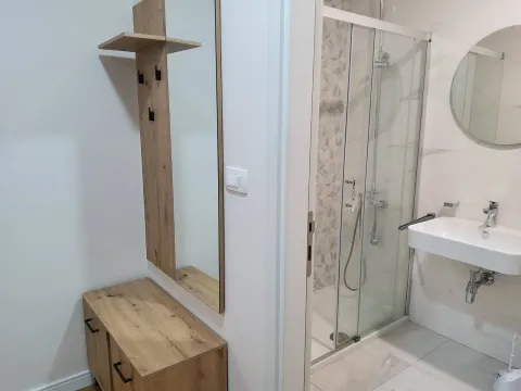 Modernly equipped bathroom with a shower cabin and a washbasin. - image 5