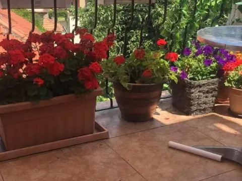 Izdavanje, dvosoban stan, 55m², Profesorska Kolonija, Palilula Sve Podlokacije - image 8