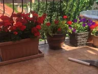 Izdavanje, dvosoban stan, 55m², Profesorska Kolonija, Palilula Sve Podlokacije - image 8