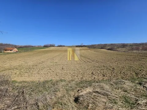 Sale, land lot, 153m², Šakotinac, Beočin - image 6