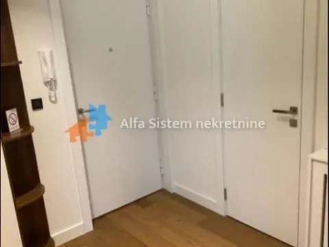 Izdavanje, stan, 56m², Južni Bulevar, Vračar Sve Podlokacije - image 13