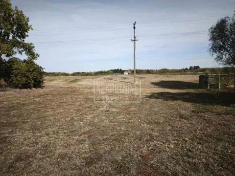 Pogled na prostrano zemljište sa travnatom površinom i drvećem. - image 5