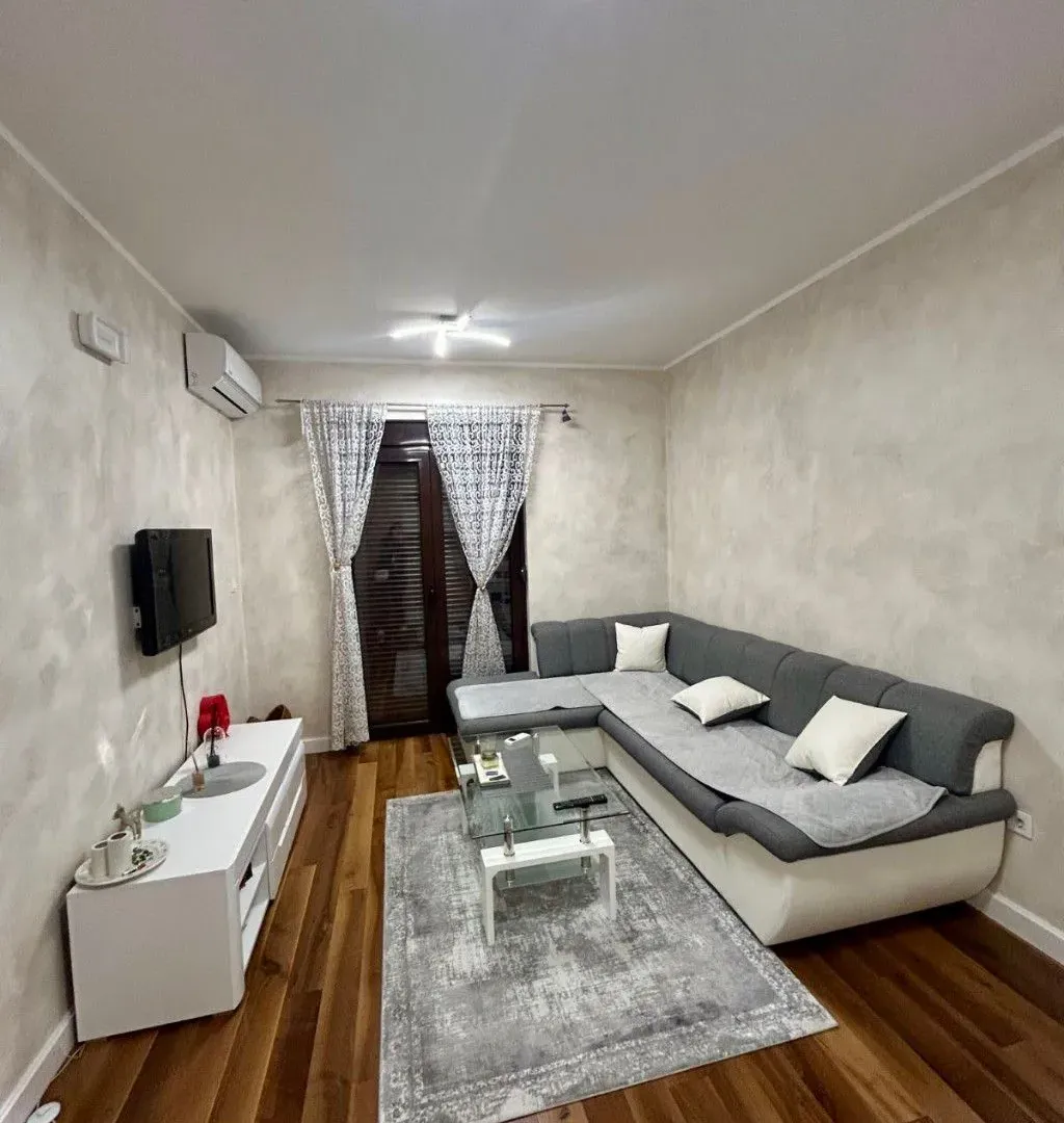 Rent, one bedroom apartment, 47m², Zabjelo, Podgorica