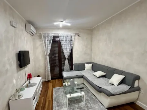 Izdavanje, jednosoban stan, 47m², Zabjelo, Podgorica - image 3