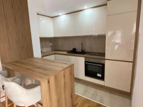 Izdavanje, jednosoban stan, 47m², Zabjelo, Podgorica - image 2