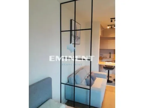 Rent, one bedroom apartment, 33m², Novi Beograd Blok 65, Novi Beograd Sve Podlokacije - image 2