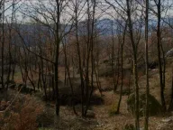 Sale, land lot, 9500m², Piperi, Podgorica - image 3