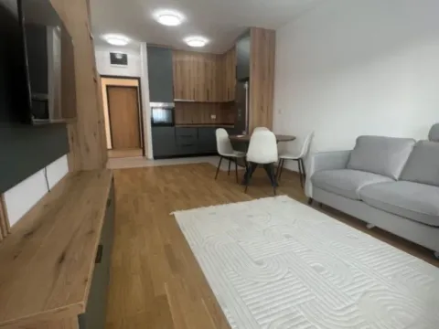 Izdavanje, jednosoban stan, 48m², Stari Aerodrom, Podgorica - image 1