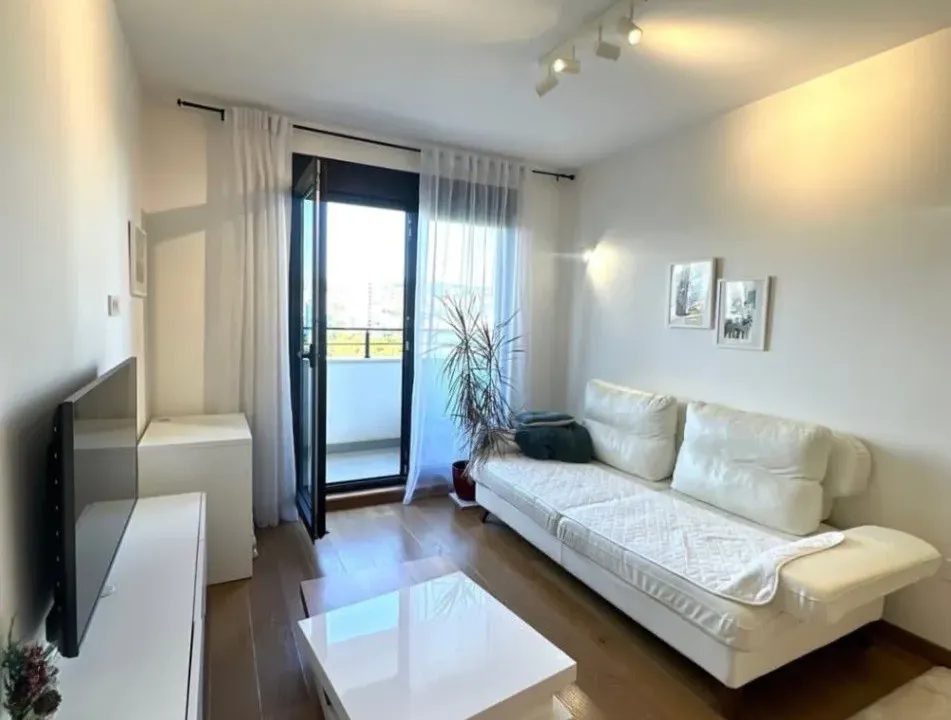 Izdavanje, jednosoban stan, 48m², Tološka šuma, Podgorica