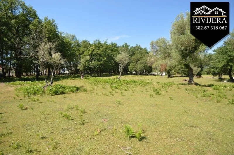 Prodaja, plac, 19000m², Podi, Herceg Novi