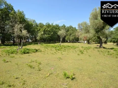 Prodaja, plac, 19000m², Podi, Herceg Novi - image 11