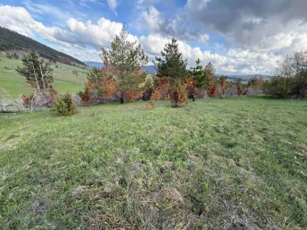 Prodaja, plac, 8000m², Žabljak, Crna Gora