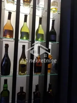 Izdavanje, dvosoban stan, 60m², Vračar Hram, Vračar Sve Podlokacije - image 8